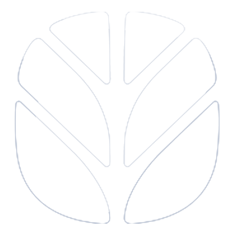 New Holland Icon